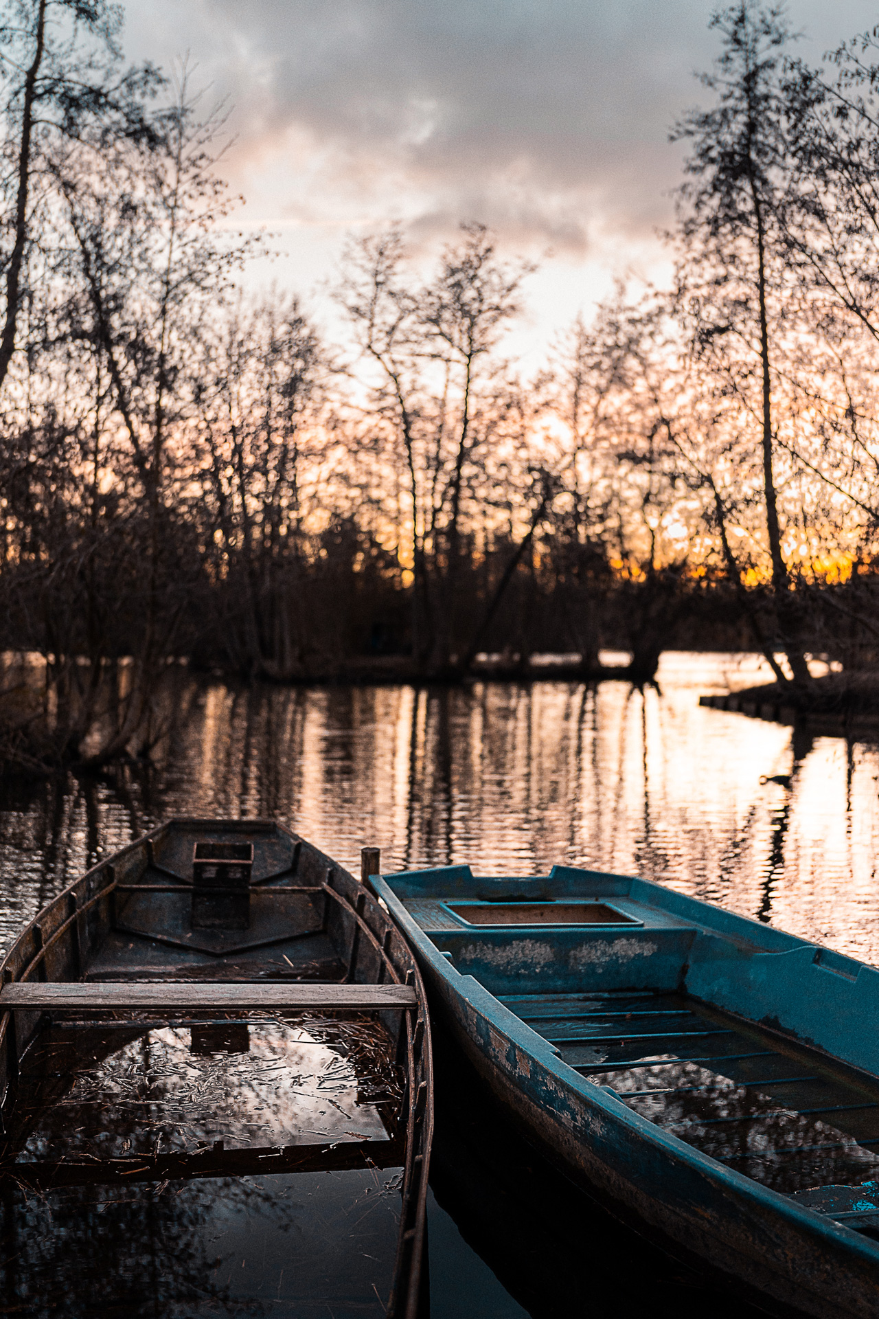 photo de paysage de barques aux hortillonages d'Amiens