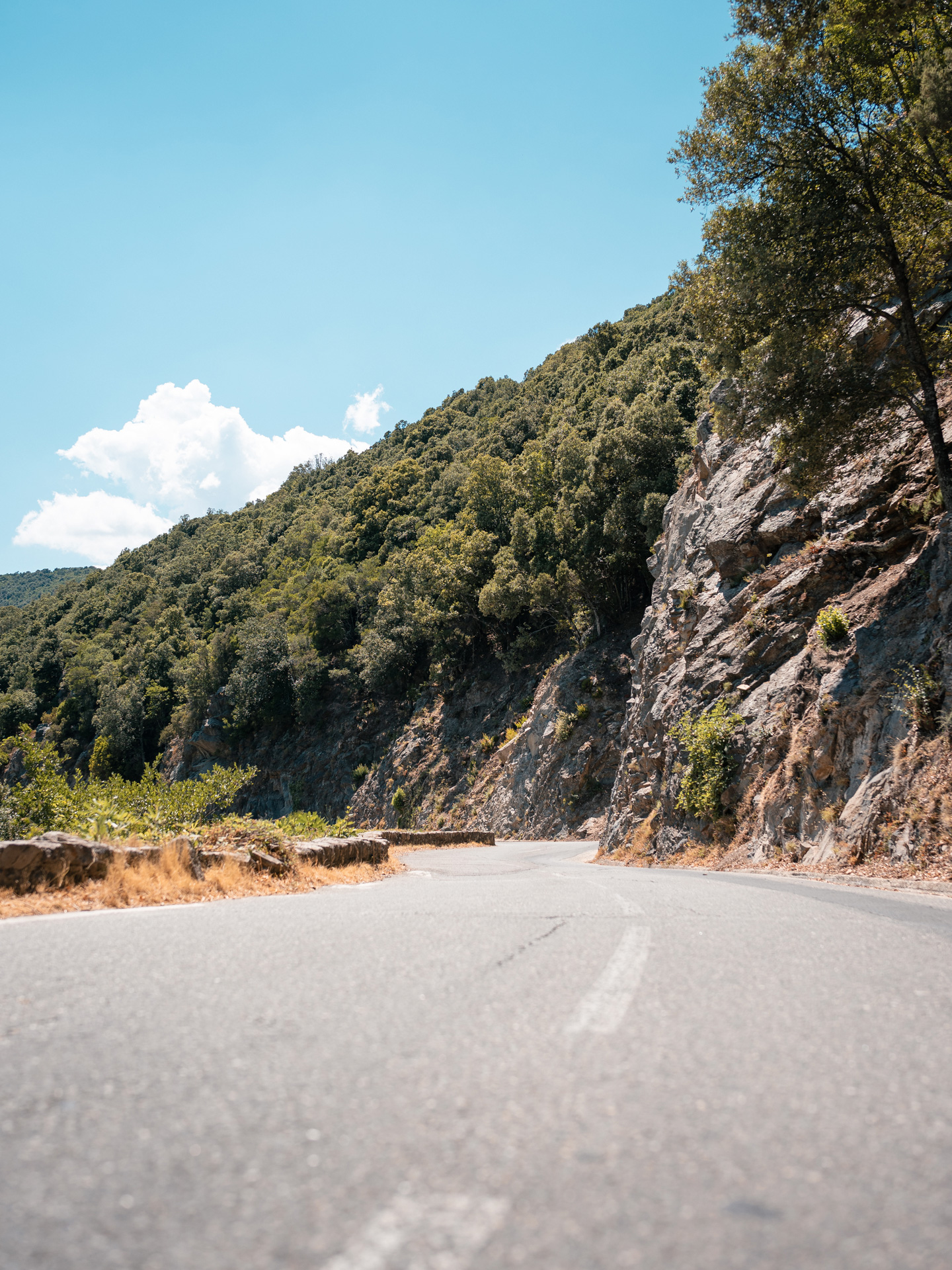 photo de route en Corse dans la montagne