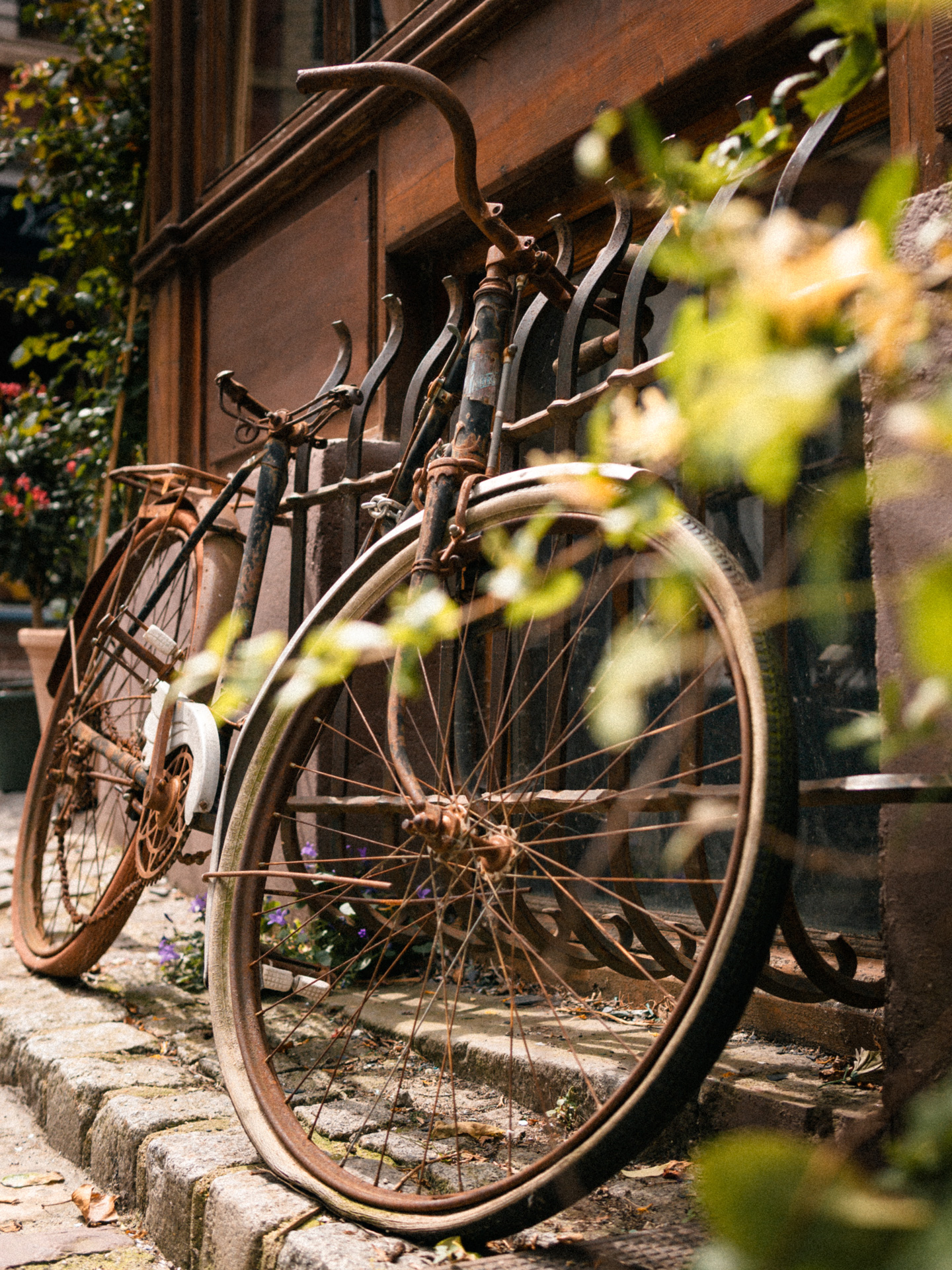 photo vintage d'un vélo en Normandie en France