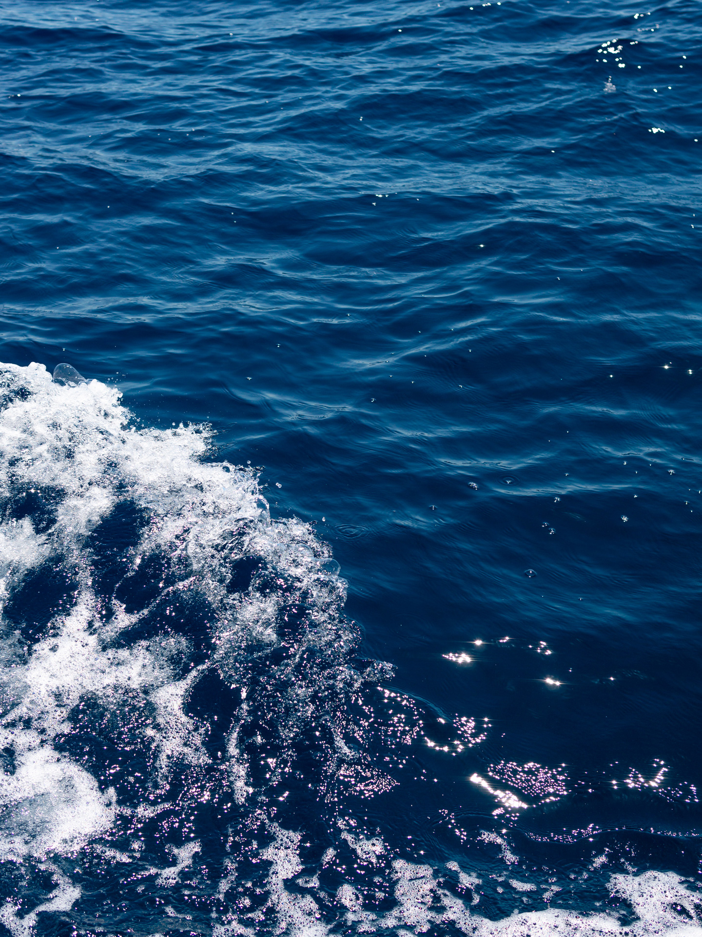 photographie de vague en plein mer en Corse