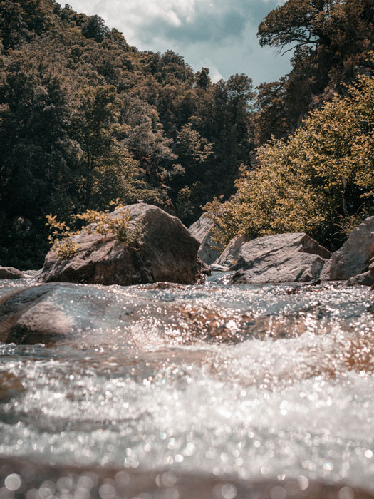 photographie d'une rivière en plein nature dans la Corse en France carousel desktop